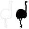 Ostrich or flightless bird silhouette