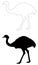 Ostrich or flightless bird silhouette