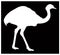 Ostrich or flightless bird silhouette