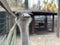 Ostrich in the forest zoo, close-up. The head of an adult ostrich. Ostrich farm in the forest