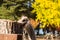 Ostrich head with long neck at the farm in Nami Island with yellow autumn tree
