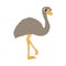 Ostrich icon, cartoon style