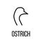 Ostrich icon or logo in modern line style.