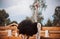 A ostrich with a long neck and dark plumage stands in a paddock in a wooden fence on a cloudy day. Zoo. South Africa