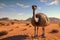 Ostrich in the Namib desert, Namibia, Africa, ostrich in the desert HD 8K wallpaper Stock Photographic Image, AI Generated