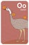 Ostrich O letter. A-Z Alphabet collection with cute cartoon animals in 2D. Ostrich standing and looking aside. Brown