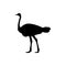 Ostrich silhouette. ostrich logo