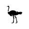 Ostrich silhouette. ostrich logo