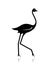 Ostrich sketch black for your design