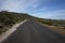 An Ostrich Walks on a Road towards a Horizon