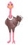 Ostrich . Watercolor paint design . Cute animal cartoon character . Standing gesture . Vector