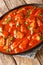 Ostropel is a typical Romanian stew made from chicken mixed with a thick tomato sauce closeup in the plate. Vertical