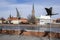 Ostrow Tumski, Wroclaw / Poland - March 30, 2018: Odra river with Cathedral of St. John the Baptist bird sculpture