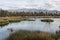 Otay Lakes County Park with Marsh Grass in Lake and Mountains