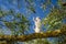 Otero Christ, Cristo del Otero, with dramatic sky in Palencia, castile and leon, Spain