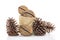Othalanga - Suicide tree seed and cedar pine cone in sacks fodder