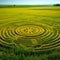 Otherworldly Crop Circle with Futuristic Twist