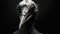 Otherworldly Grotesquery: Dark Beak Of A Vulture In Cinema4d