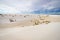 Otherworldly Landscape Of White Sands National Monument