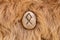 Othila or Othial Nordic stone rune on animal fur. Letter Ethel of the Viking alphabet