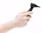 Otoscope - Opthalmoscope