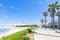 Otranto, Apulia - Palm trees at the promenade of Otranto in Ital