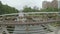 Ottawa Canal Corktown Bridge with `Love Locks`