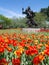 Ottawa Tulip Festival 2012 - Olympic Statue