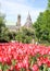 Ottawa Tulips on the background of Parliament 2008