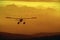 Otter Airplane flying over wilderness into sunset.