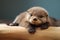 Otter baby lying. Generate Ai