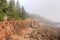 Otter Cliffs in the mist, Acadia National Park, Maine