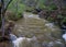 Otter Creek a Popular Trout Stream