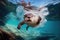 otter diving into clear blue water, with fish swimming in the background