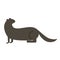 Otter flat illustration on white