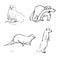 Otter ink sketches. Underwater and land animals drawings. Nature wildlife forest theme. Simple minimal vector artworks set. Monoch