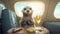 Otter In A Private Jet With A Glass Of Champagne