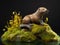 Otter\\\'s Tranquil Journey in Nature\\\'s Sanctuary