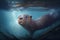 otter swimming underwater, its whiskers and fur glistening in the light