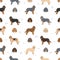 Otterhound seamless pattern. Different poses, coat colors set