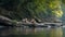 Otterly Relaxing Riverbank Scene