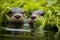 otters munching on water plants