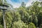 Otway Fly Treetop Walk