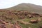 Oukaimeden, shepherds\\\' huts among mountains and green plains in autumn, Morocco