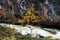 Oulanka National Park. Autumn foliage next to KiutakÃ¶ngÃ¤s rapids in Northern Finland.