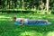 Oung attractive man goes in for sports or yoga on the lawn in the park, does the plank