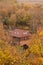 Ð¡ountry house in nature, farm in autumn yellow orange forest, fall landscape with colorful trees