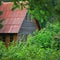 Ð¡ountry house with a red roof buried in the foliage of trees in summer