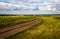 Ð¡ountry road in autumn fields