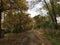 Ð¡ountryside street, road. Trees, early autumn forest.